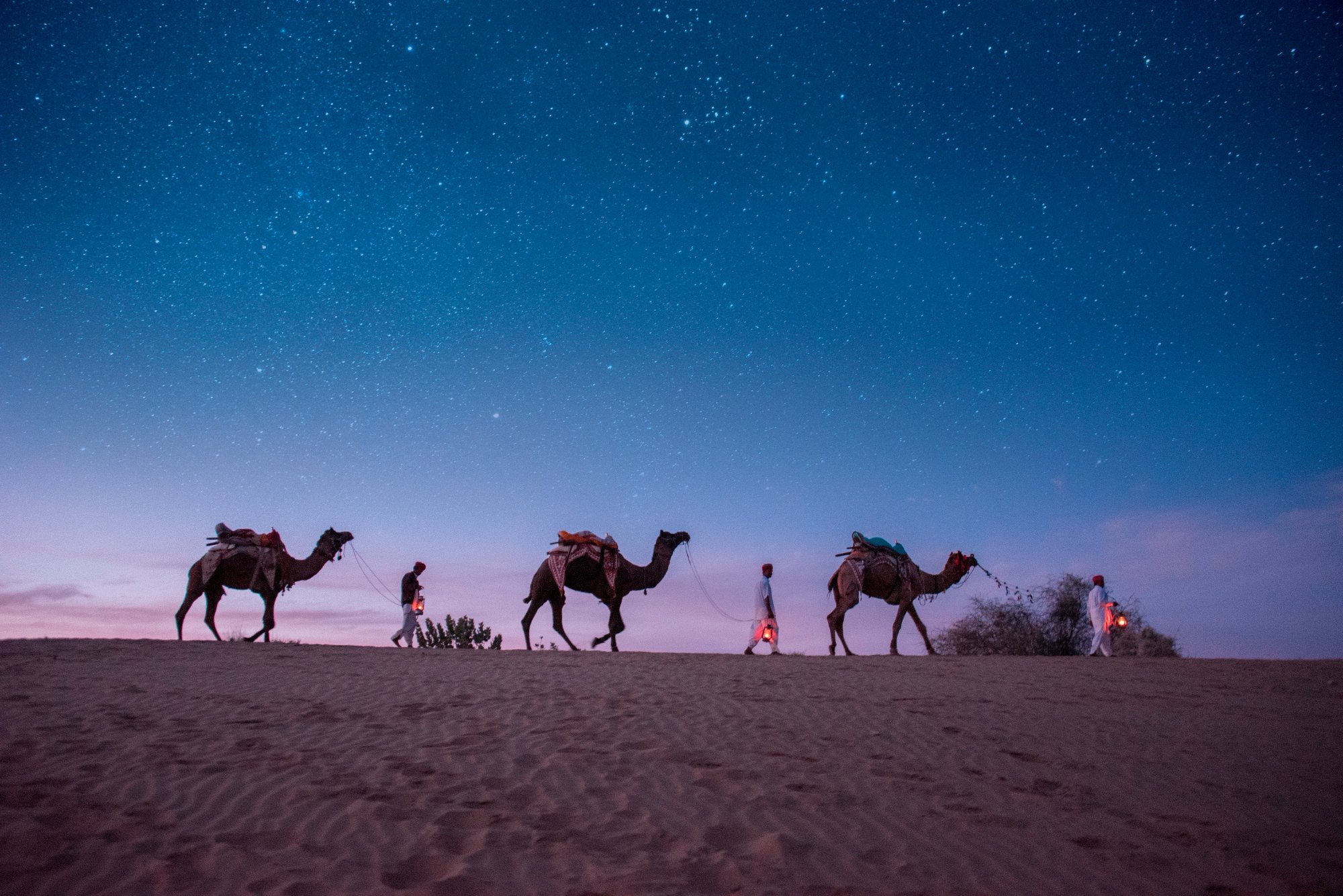 Samsara Desert Camp & Resort-官方