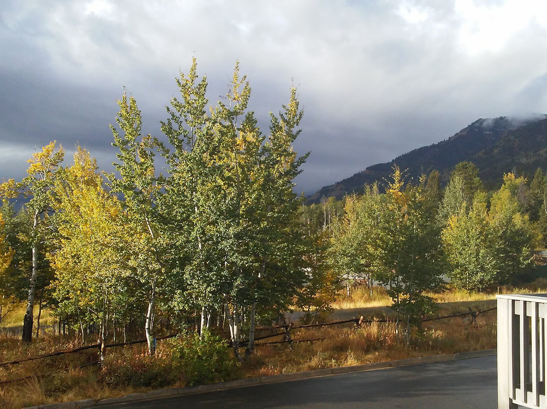 威尔逊酒店住宿-Teton Village