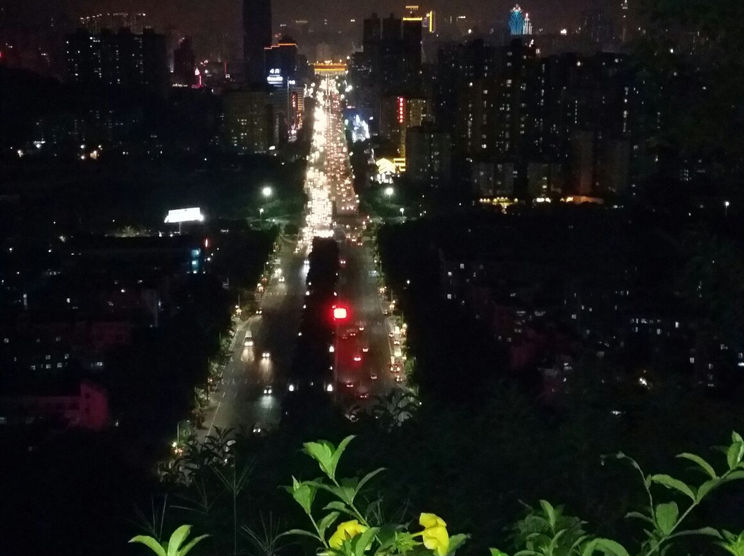 板樟山森林公园-珠海市必去景点