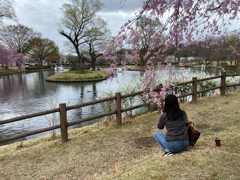 Nakagawa Riverside Park-那须盐原市必去景点