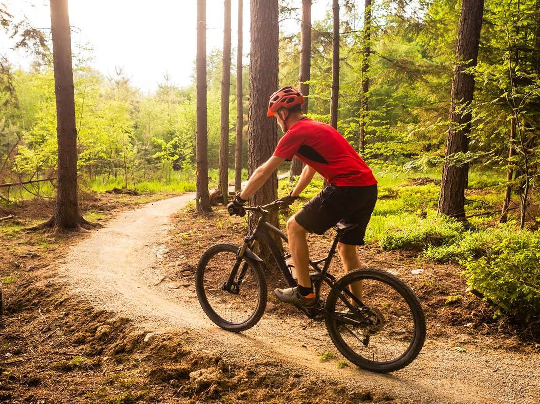 Beaver Dam Inn主图