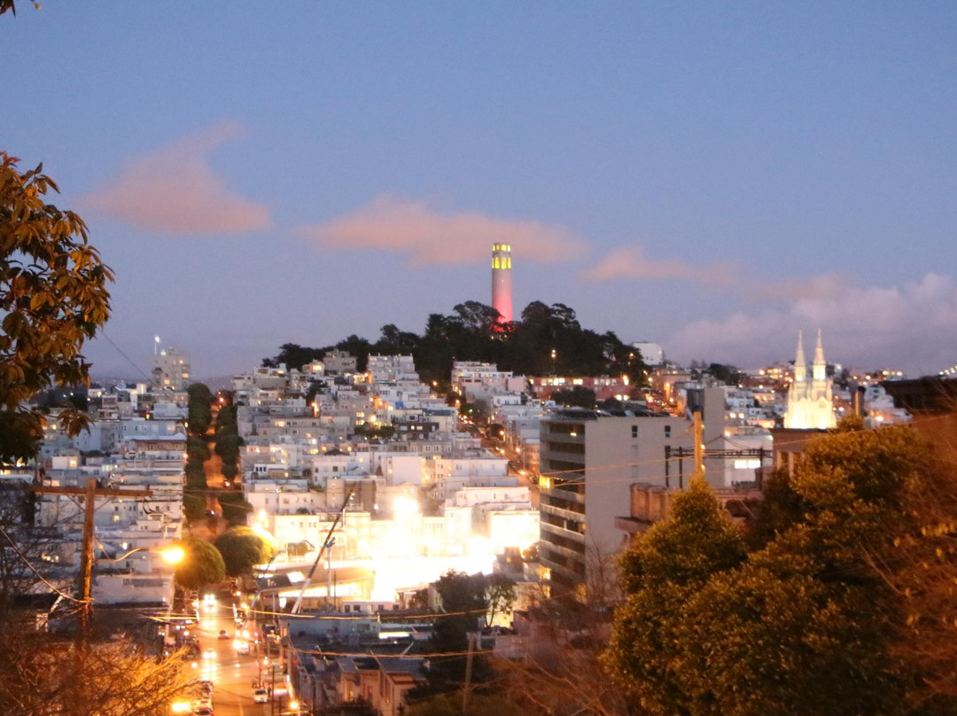 柯伊特塔-旧金山必去景点