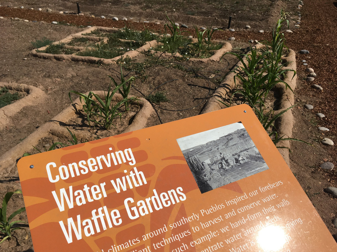 Indian Pueblo Cultural Center