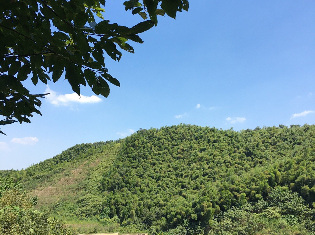 王阳明墓-绍兴县必去景点