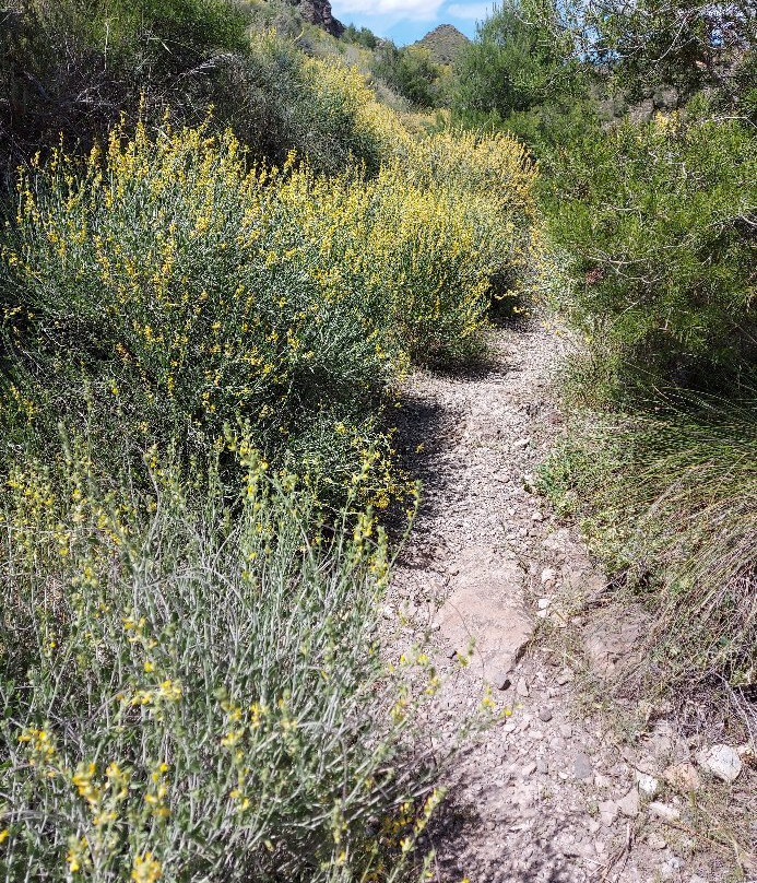 Piton Volcánico de Cancarix-Agramon必去景点
