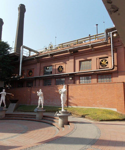 Salón de la Fama del Béisbol Mexicano景点门票图片