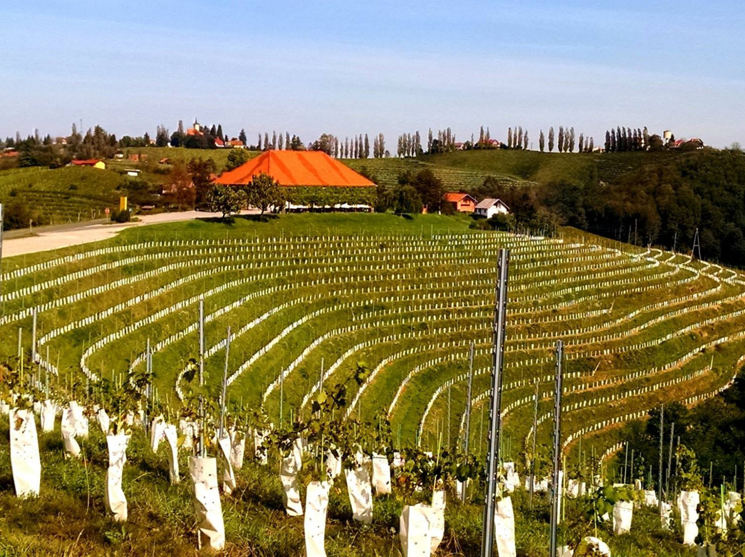 Vinothek Jeruzalem-Ljutomer必去景点