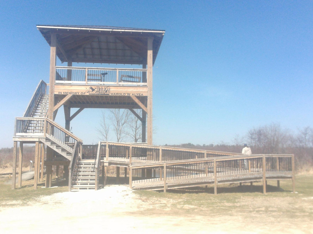 Woodland Dunes Nature Center景点图片