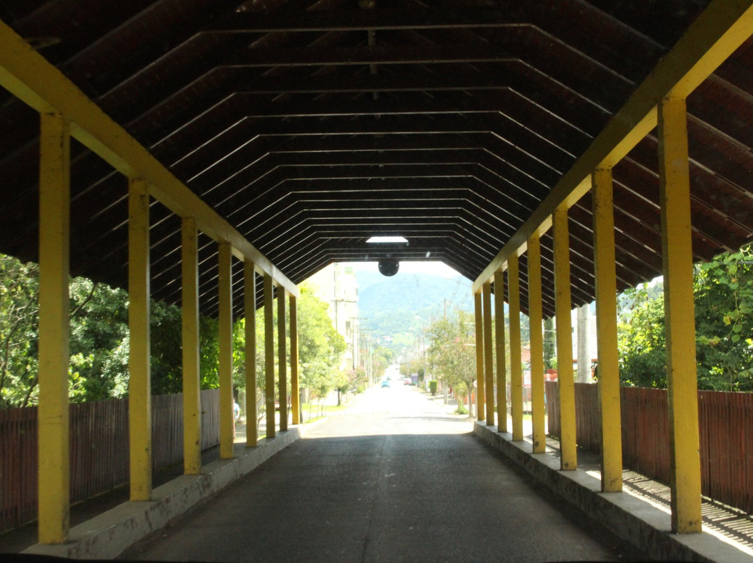 Ponte Coberta Armindo Lauffer景点图片