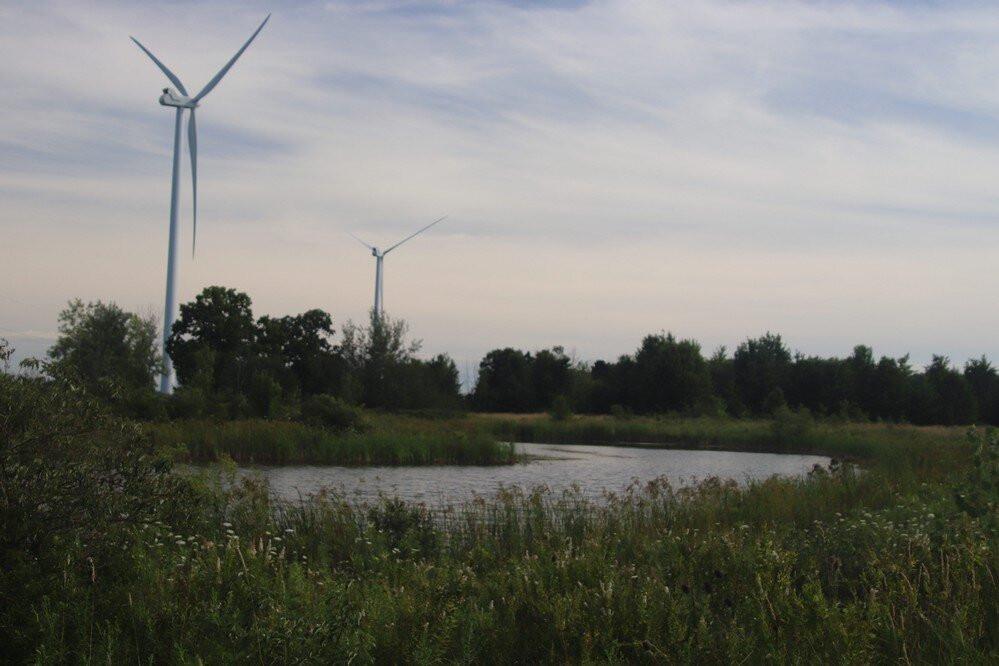 Station Road Naturalization Site, Wainfleet