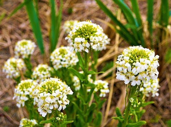 Komuke Lake-纹别市必去景点