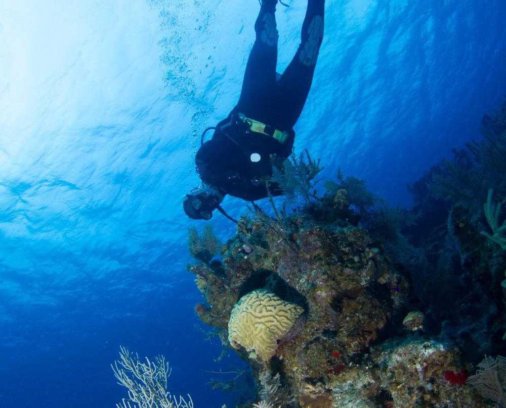 Grand Turk Diving