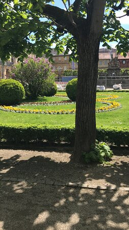 Hofgarten景点图片