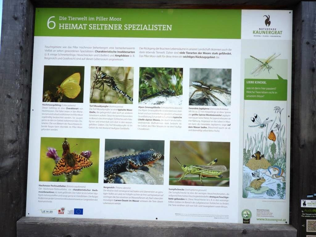 Piller Hochmoor Rundwanderung