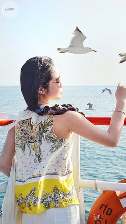 Seonyudo Beach-群山市必去景点