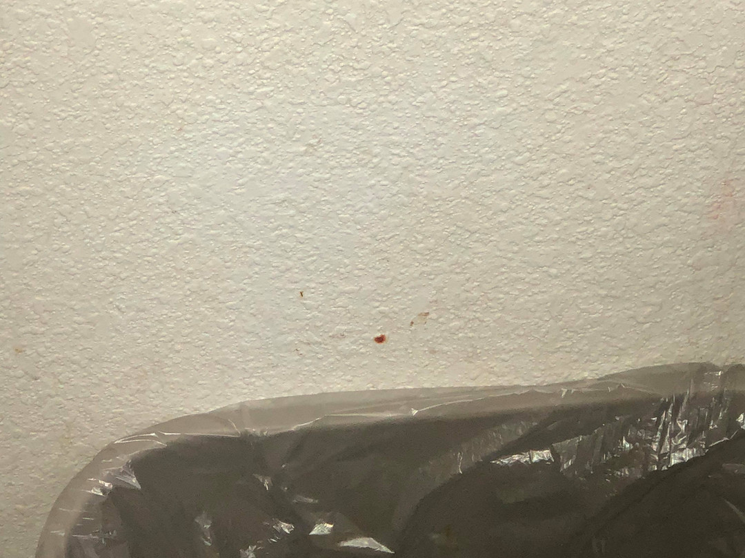 Blue Jay Inn and Suites