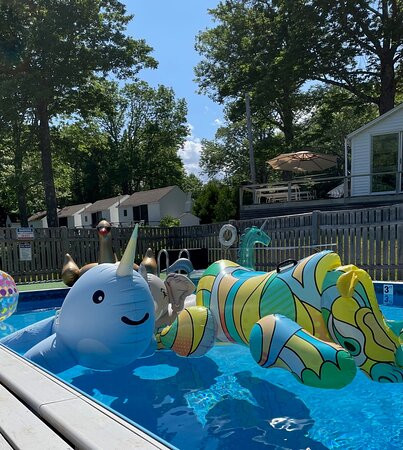 Lincolnville Motel主图