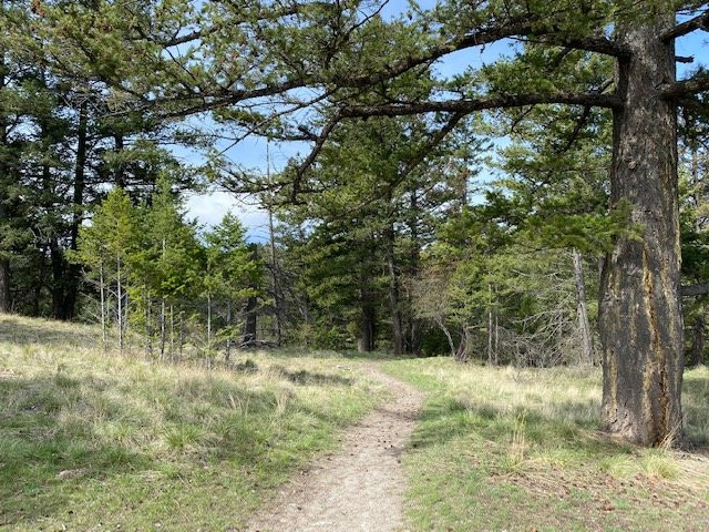 Lone Pine State Park-卡利斯佩尔必去景点