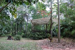 细得公园雨林度假村主图