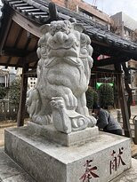 Kashiwa Shrine-柏市必去景点