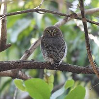 Garva Agro Tourism主图