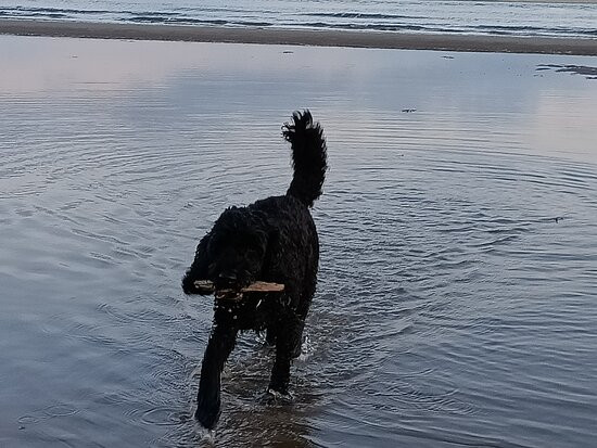 Aberdyfi Beach景点图片