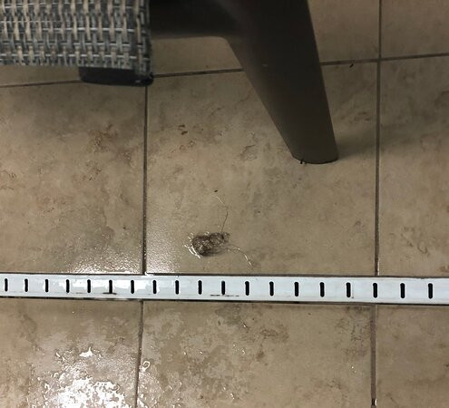 Hampton Inn By Hilton Sturgis-lagrange Area主图