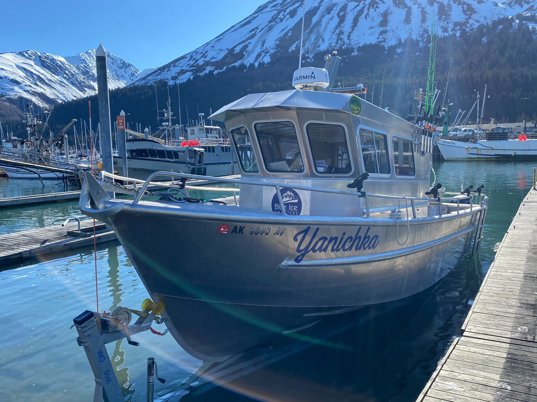 Blue Ice Alaska Charters LLC-苏厄德必去景点