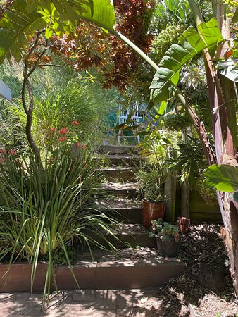 Smiley's Schooner Saloon & Hotel主图