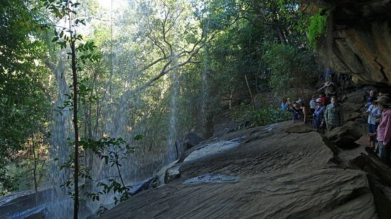 Mitchell River National Park景点图片