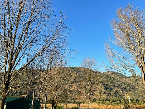 Emahlathini Guest Farm主图