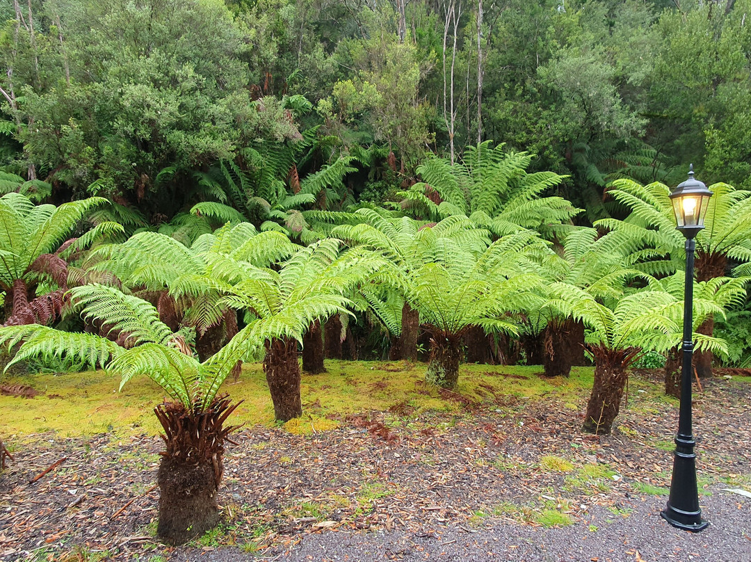 Rinadeena Station-斯特拉恩必去景点