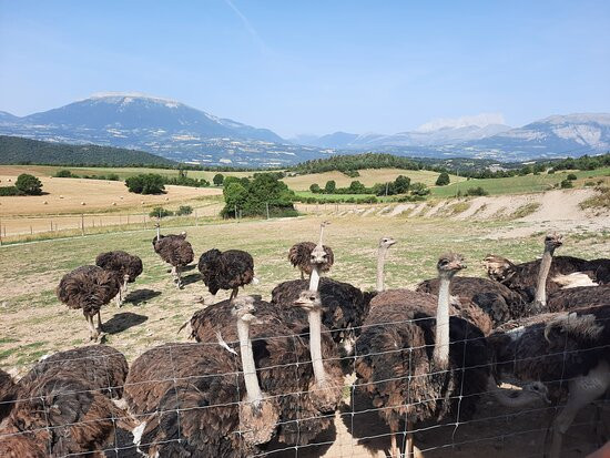La Ferme Du Col景点图片