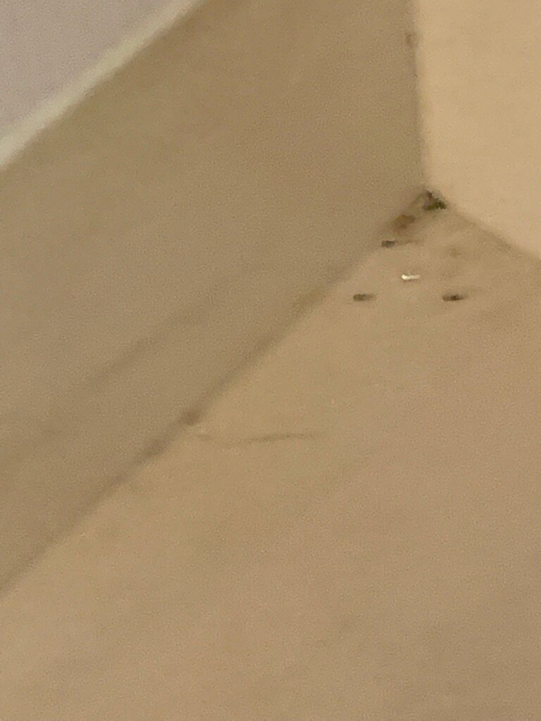 Courtyard by Marriott Philadelphia Great Valley/Malvern-客卧