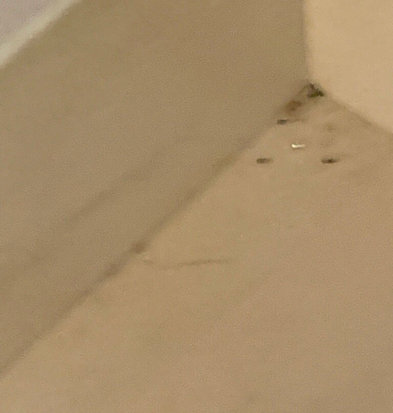 Courtyard by Marriott Philadelphia Great Valley/Malvern主图