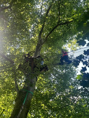 Ecopark Adventures Penzé-Taule必去景点