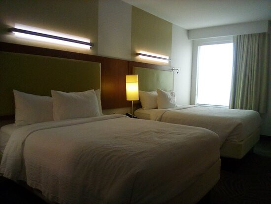 SpringHill Suites by Marriott Canton主图