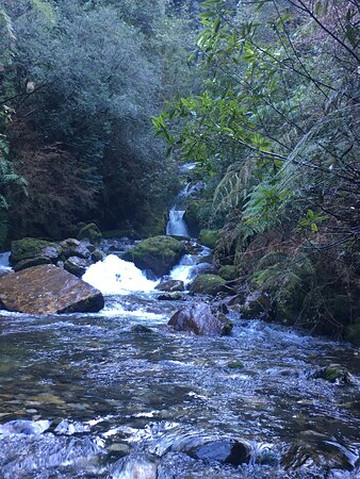 Fentrepu Ecoturismo-巴拉斯港必去景点