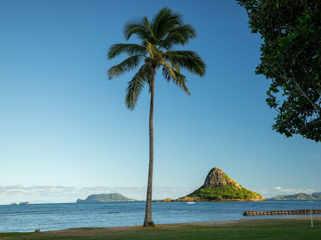 Hawaii Tours & Activities景点图片