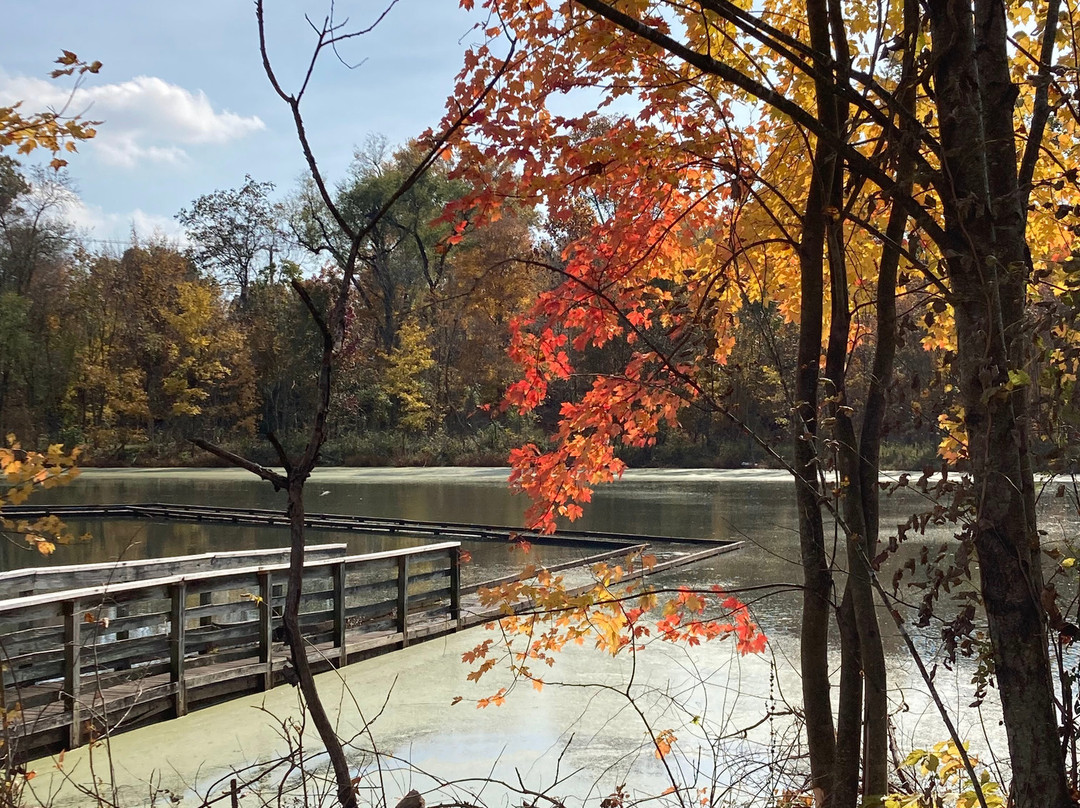 Howell Wetlands景点图片