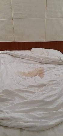 玛瑙酒店主图