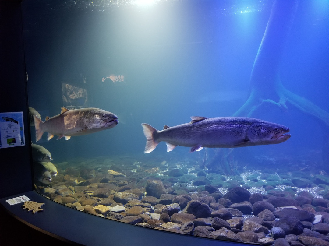 北见市旅游景点-Yama no Aquarium