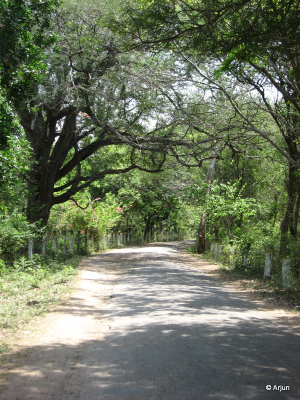 Amirthi Zoological Park景点图片