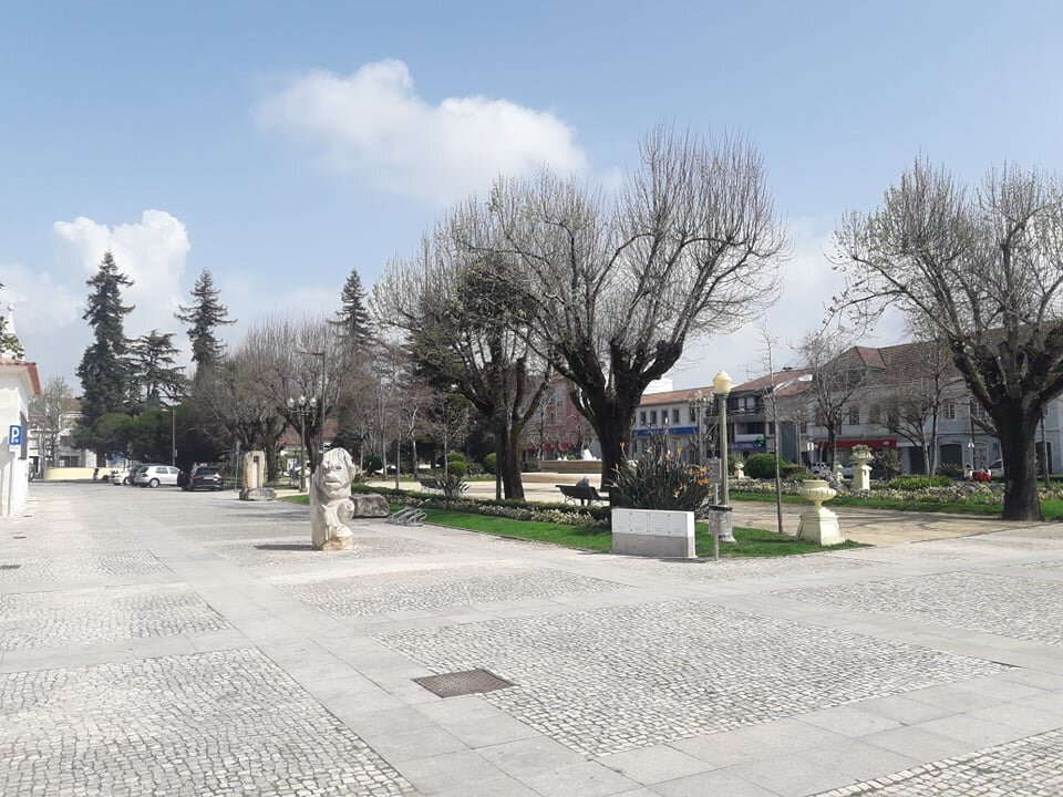 Jardim Municipal de Cantanhede景点图片