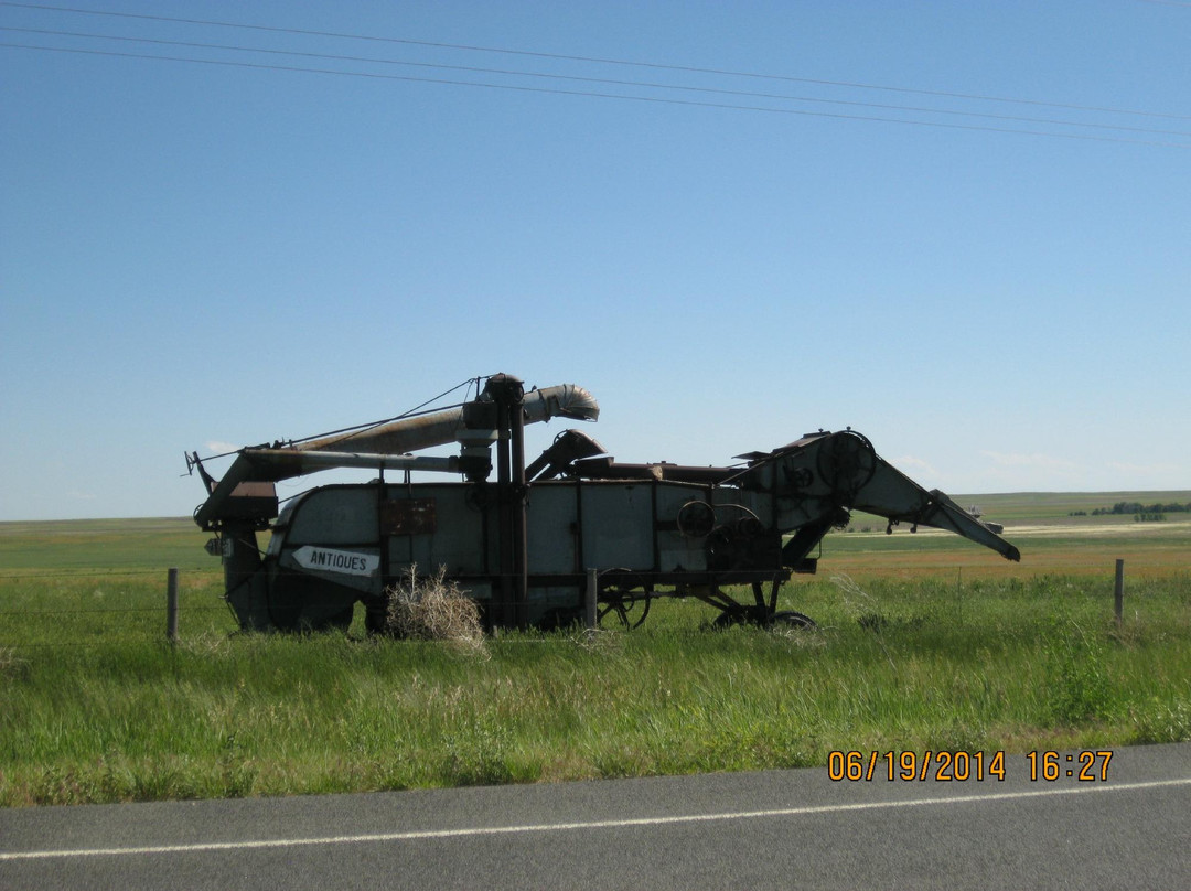 Stoneham旅游攻略图片