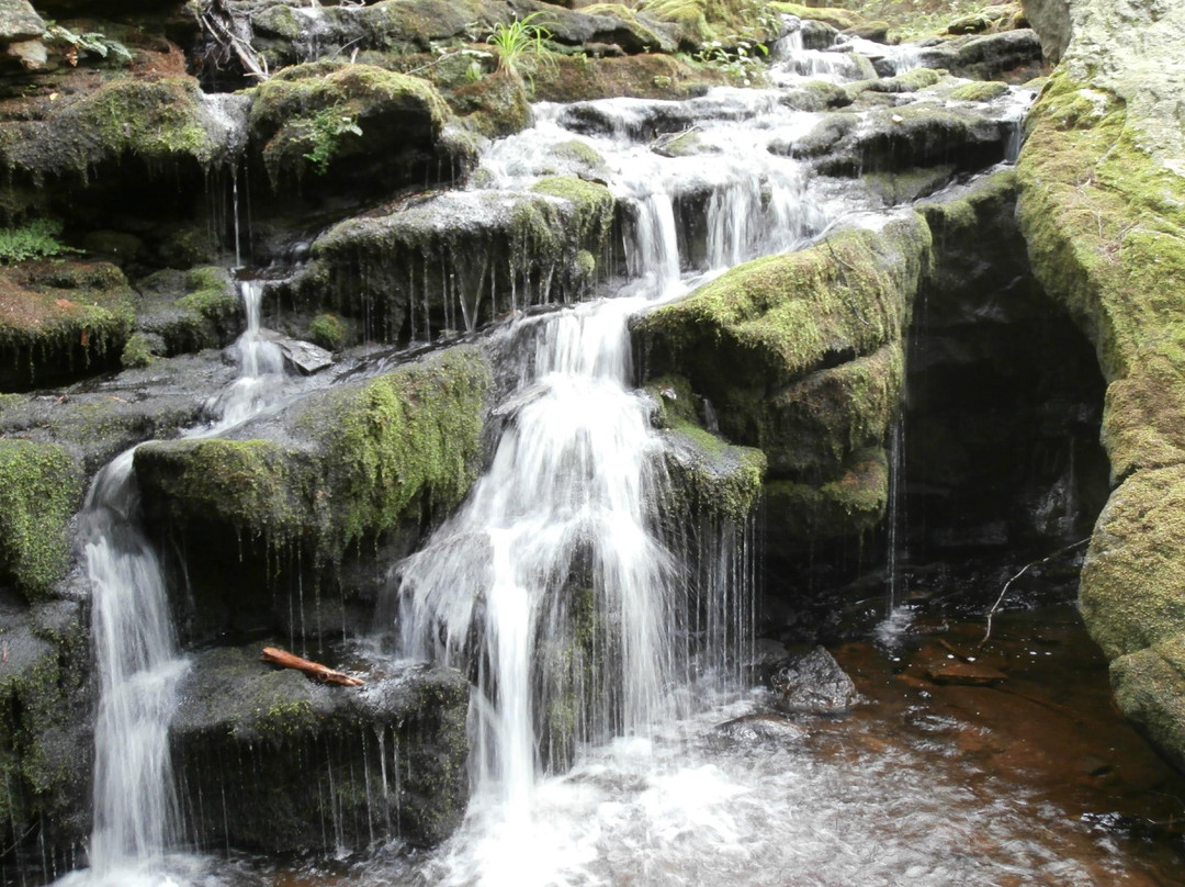 Day Pond State Park景点图片