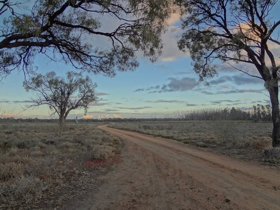 Moorook Game Reserve-Kingston on Murray必去景点