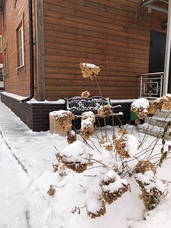 沃尔施宾萨德旅馆主图