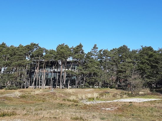 Falsterbo Strand景点图片