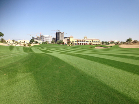 The Els Club Dubai-迪拜必去景点